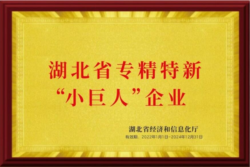 湖北省专精特新"小巨人"企业